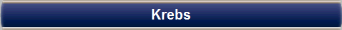 Krebs